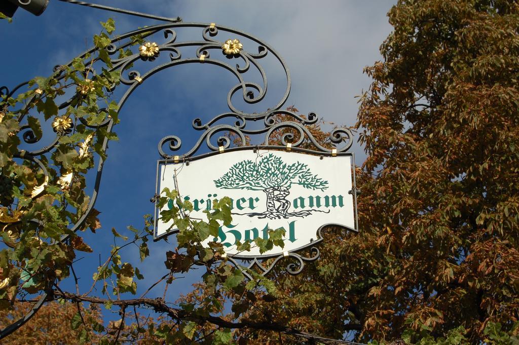 Hotel Gruener Baum Bretzenheim Екстер'єр фото